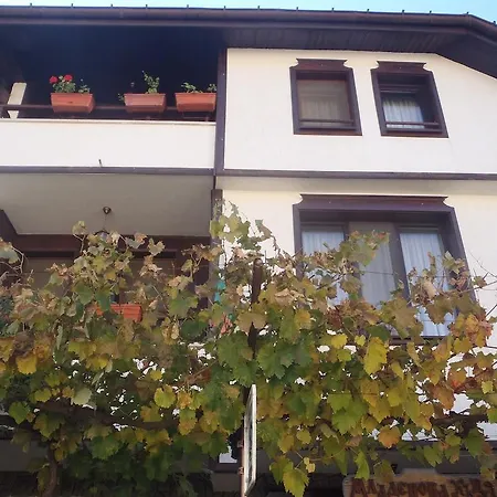 Guest house Mladenova House Zlatograd
