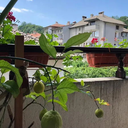 Pensionat Mladenova House 3*