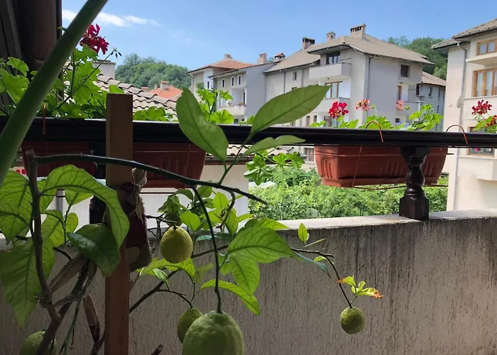 Pensionat Mladenova House 3*